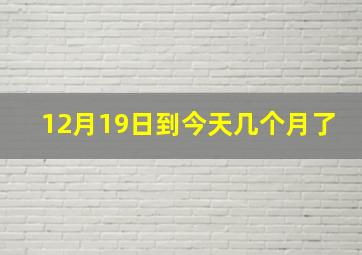 12月19日到今天几个月了