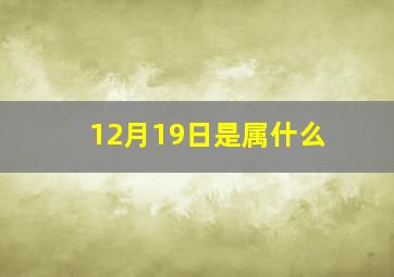 12月19日是属什么