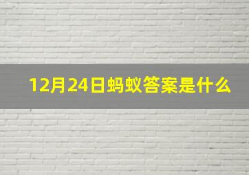 12月24日蚂蚁答案是什么