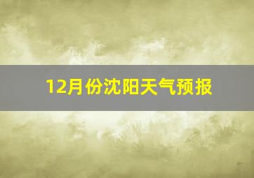 12月份沈阳天气预报