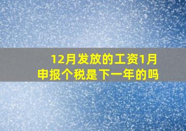 12月发放的工资1月申报个税是下一年的吗