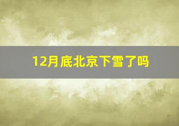 12月底北京下雪了吗