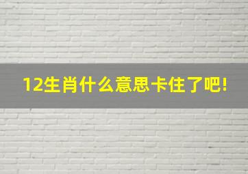 12生肖什么意思卡住了吧!