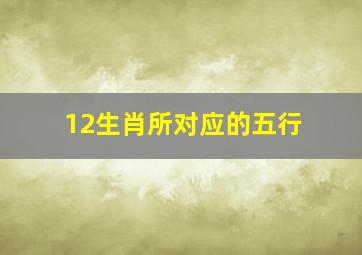 12生肖所对应的五行