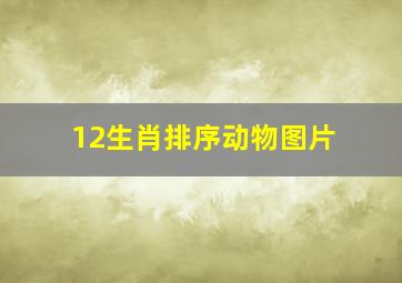 12生肖排序动物图片