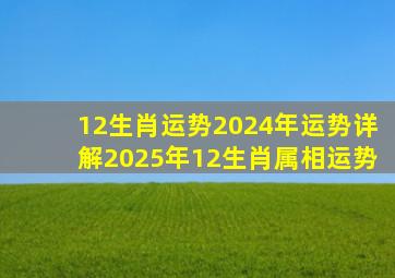 12生肖运势2024年运势详解2025年12生肖属相运势