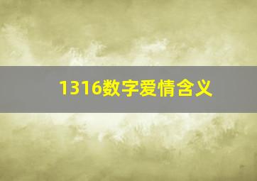 1316数字爱情含义