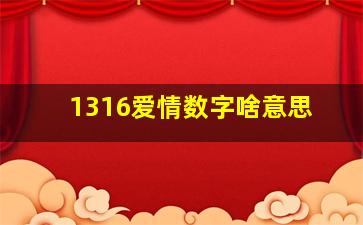 1316爱情数字啥意思