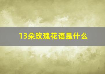 13朵玫瑰花语是什么