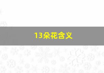 13朵花含义