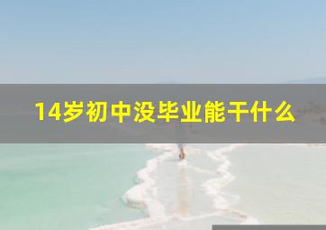 14岁初中没毕业能干什么