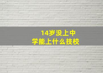 14岁没上中学能上什么技校