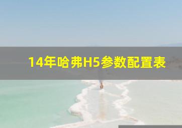 14年哈弗H5参数配置表