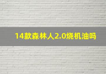 14款森林人2.0烧机油吗