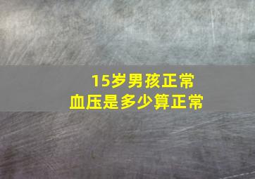 15岁男孩正常血压是多少算正常