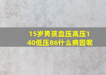 15岁男孩血压高压140低压86什么病因呢