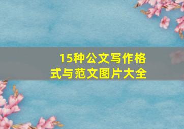 15种公文写作格式与范文图片大全