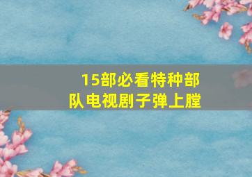 15部必看特种部队电视剧子弹上膛