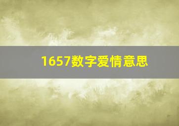 1657数字爱情意思