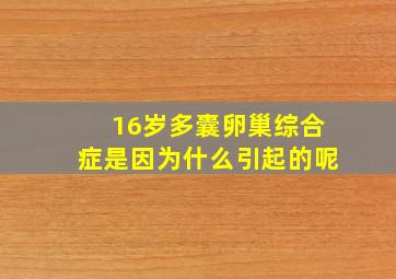 16岁多囊卵巢综合症是因为什么引起的呢