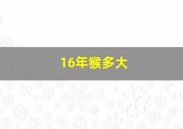 16年猴多大