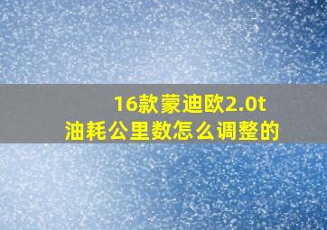 16款蒙迪欧2.0t油耗公里数怎么调整的