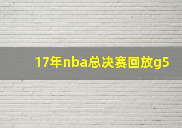 17年nba总决赛回放g5