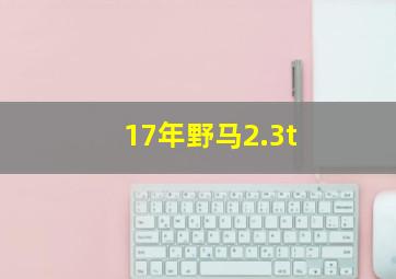 17年野马2.3t