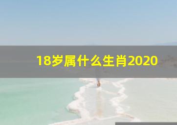 18岁属什么生肖2020