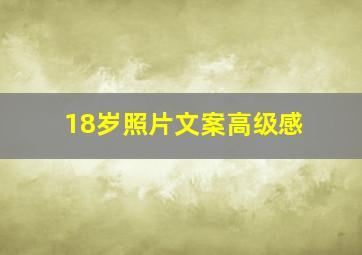 18岁照片文案高级感