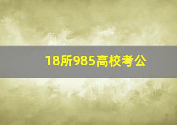 18所985高校考公