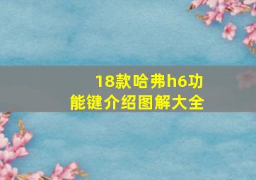 18款哈弗h6功能键介绍图解大全