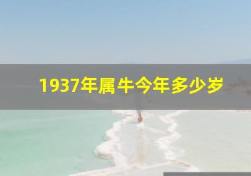 1937年属牛今年多少岁