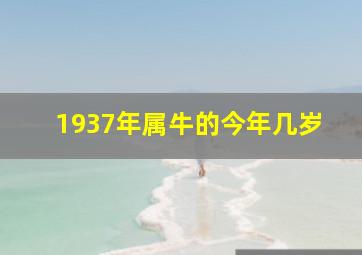 1937年属牛的今年几岁