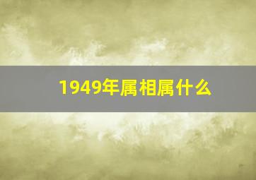 1949年属相属什么