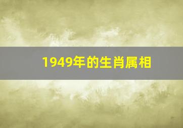 1949年的生肖属相