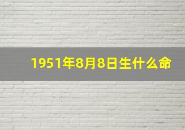 1951年8月8日生什么命