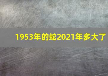 1953年的蛇2021年多大了