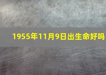 1955年11月9日出生命好吗