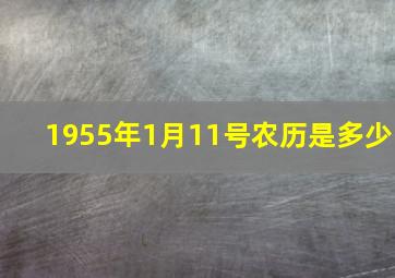 1955年1月11号农历是多少