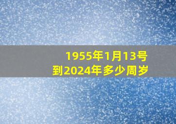 1955年1月13号到2024年多少周岁