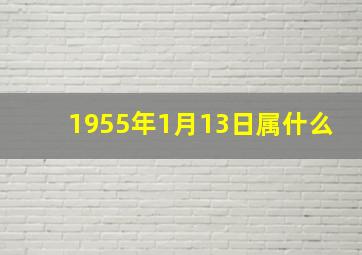 1955年1月13日属什么