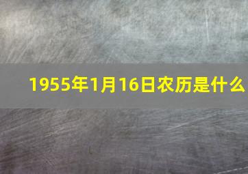 1955年1月16日农历是什么