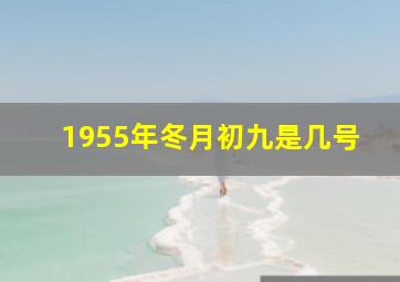 1955年冬月初九是几号