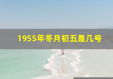 1955年冬月初五是几号