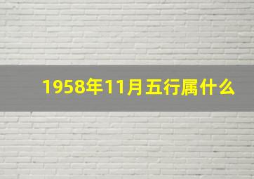 1958年11月五行属什么