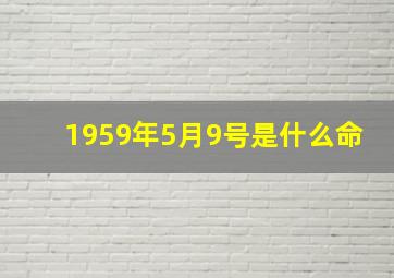 1959年5月9号是什么命