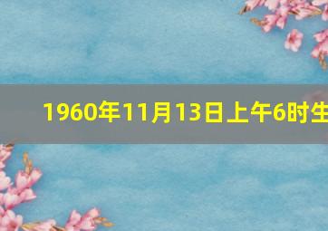 1960年11月13日上午6时生