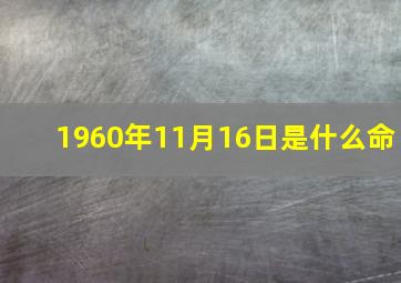 1960年11月16日是什么命