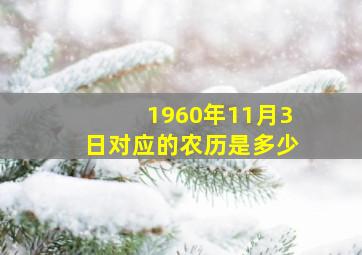 1960年11月3日对应的农历是多少